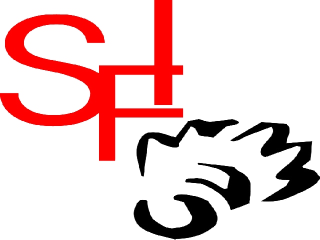 SFI Badminton Logo Trikot